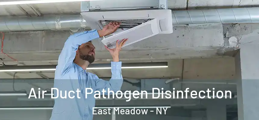 Air Duct Pathogen Disinfection East Meadow - NY
