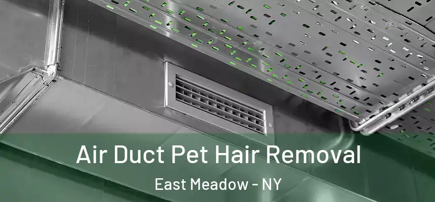 Air Duct Pet Hair Removal East Meadow - NY