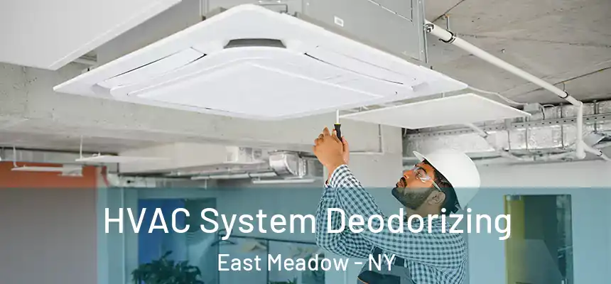 HVAC System Deodorizing East Meadow - NY