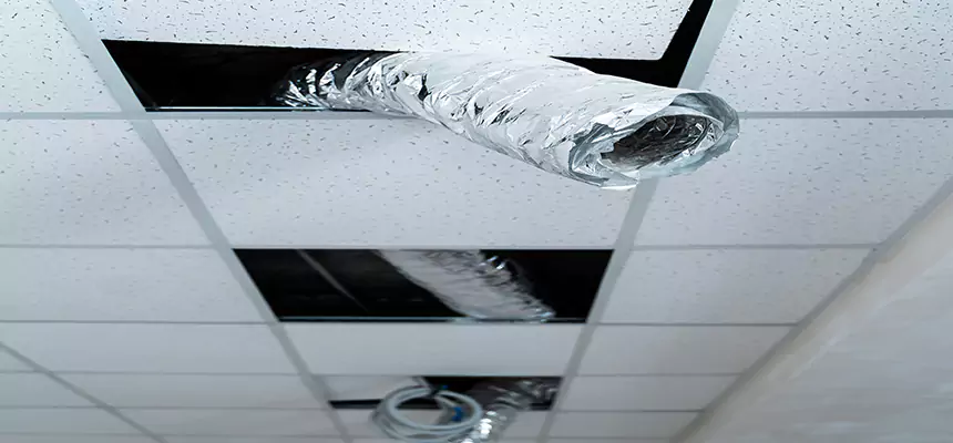 Affordable HVAC Sanitizing After Pest Removal in East Meadow