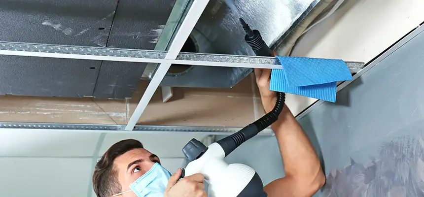 Our Air Duct Rodent Removal Services in East Meadow, NY