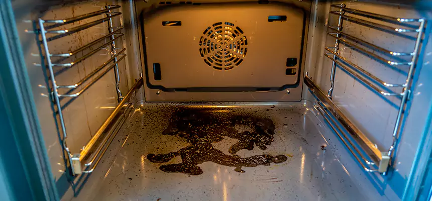 Our Dryer Vent Mold Cleaning Services in East Meadow, NY