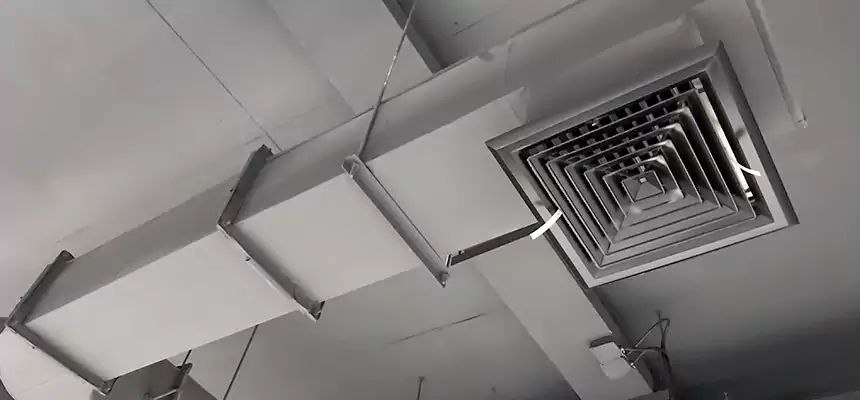 Our Pest Removal From Ducts Services in East Meadow, NY