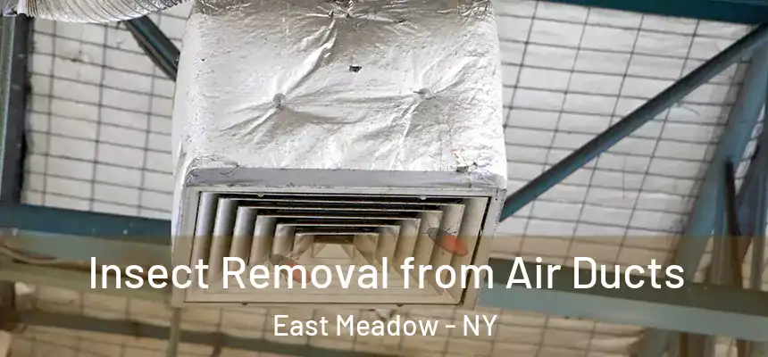 Insect Removal from Air Ducts East Meadow - NY