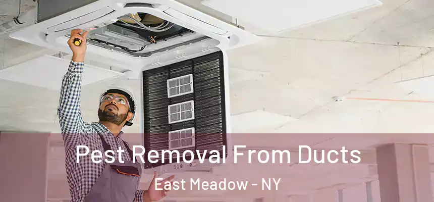  Pest Removal From Ducts East Meadow - NY