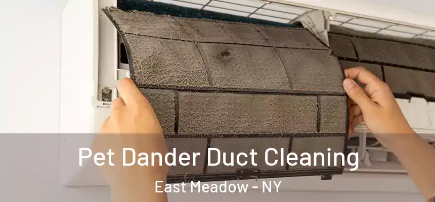 Pet Dander Duct Cleaning East Meadow - NY