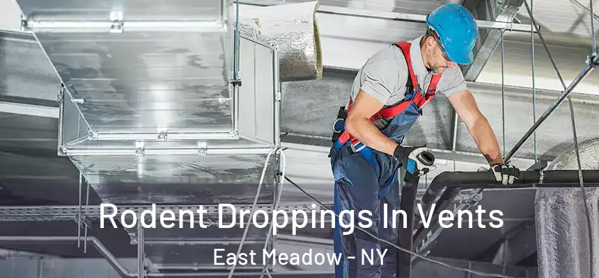 Rodent Droppings In Vents East Meadow - NY