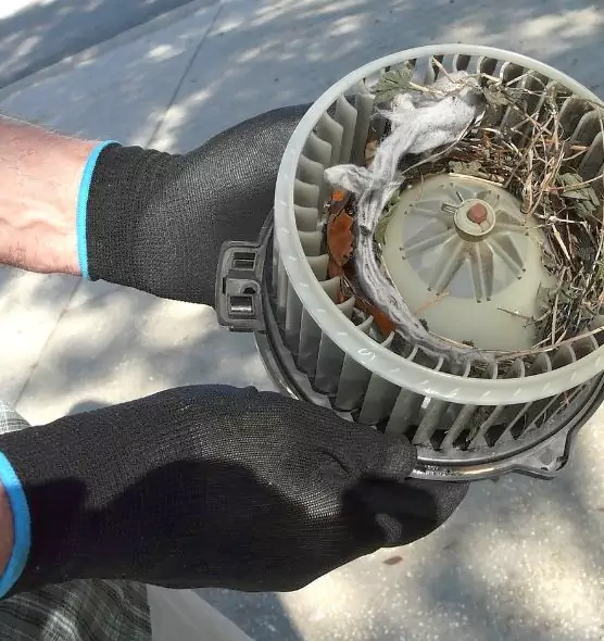 About Air Duct Mice Removal in East Meadow, NY