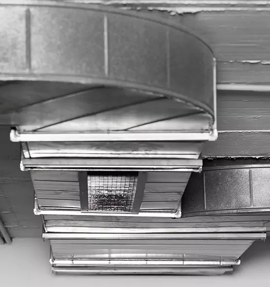 Professional Air Duct Pest Removal in East Meadow, NY