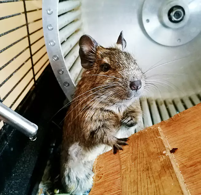 Why Homeowners & Businesses Trust Us East Meadow, NY?