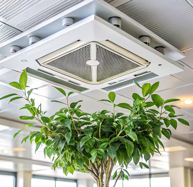 Why Homeowners & Businesses Trust Us in East Meadow, NY