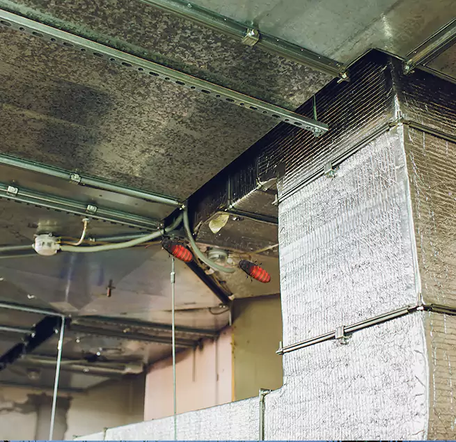 Why Homeowners & Businesses Trust Us East Meadow, NY?